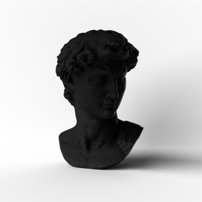 David Voxel - Nero